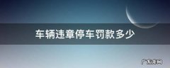 车辆违章停车罚款多少钱 车辆违章停车罚款多少