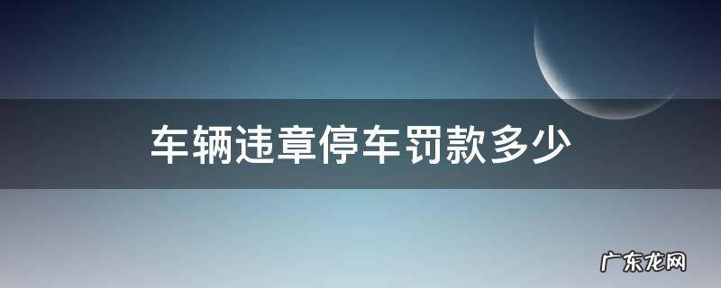 车辆违章停车罚款多少钱 车辆违章停车罚款多少