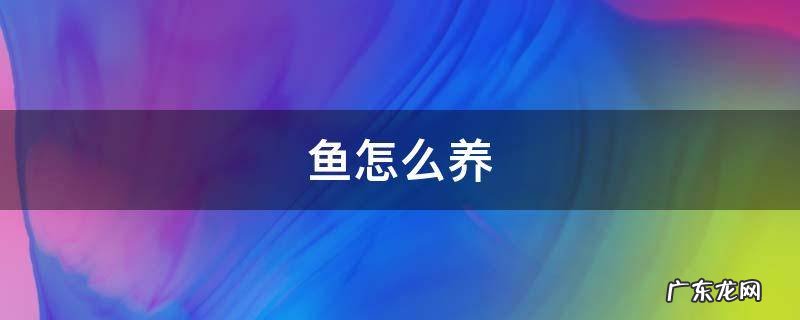 鱼怎么养才能快快长大 鱼怎么养