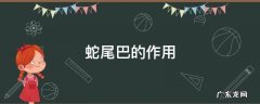 蛇尾巴的作用和特点 蛇尾巴的作用