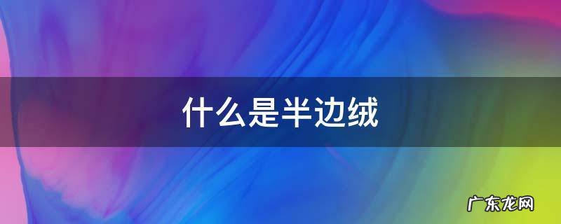 什么叫半边绒 什么是半边绒
