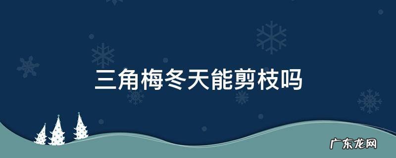 三角梅冬天可以把枝条剪掉吗 三角梅冬天能剪枝吗