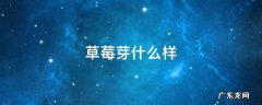 草莓芽长啥样 草莓芽什么样
