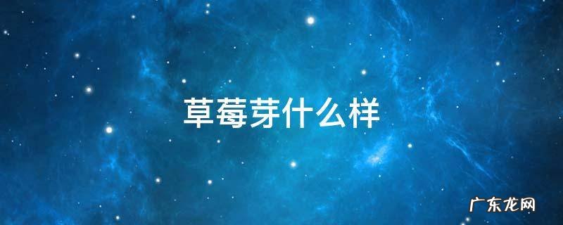 草莓芽长啥样 草莓芽什么样