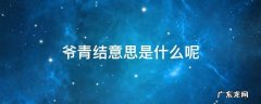 爷青结意思是什么呢 爷青结到底是什么意思