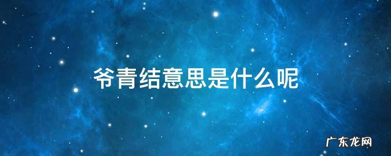 爷青结意思是什么呢 爷青结到底是什么意思