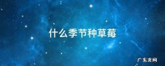 什么季节种草莓 什么季节种草莓苗最合适