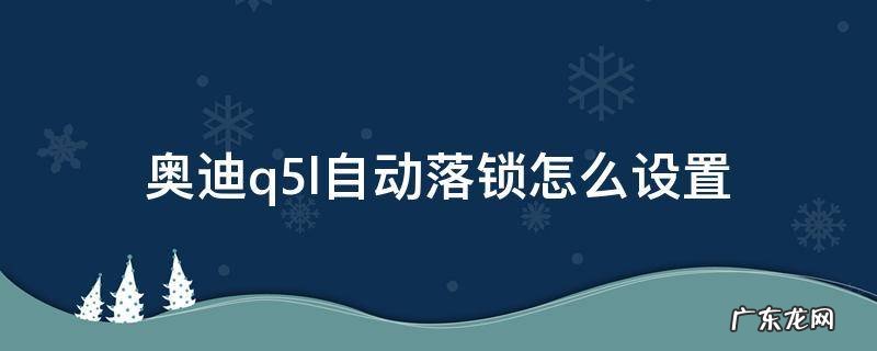 奥迪q5l自动落锁怎么设置 奥迪Q5自动落锁怎么设置