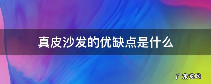 真皮沙发缺点有哪些 真皮沙发的优缺点是什么