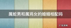 属蛇男和属鸡女的婚姻相配吗 属蛇女配属鸡男婚姻如何