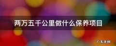 2万5千公里保养必要的项目 两万五千公里做什么保养项目