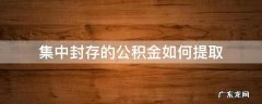 封存公积金怎么提取出来 集中封存的公积金如何提取