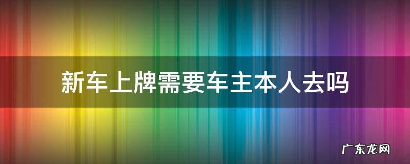 新车上牌,必须车主本人去吗 新车上牌需要车主本人去吗