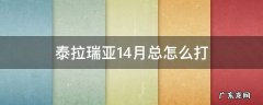 泰拉瑞亚1.4月总怎么打 泰拉瑞亚1.4.0.5月总怎么打
