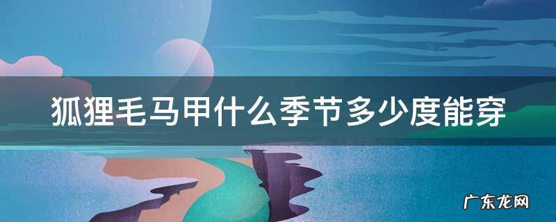 狐狸毛马甲多少价位 狐狸毛马甲什么季节多少度能穿