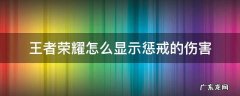 王者荣耀怎么显示惩戒的伤害 王者荣耀惩戒伤害怎么显示出来