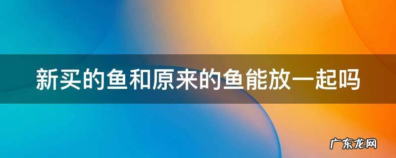 新买的鱼和原来的鱼能放一起吗 新买的鱼和原来的鱼能放一起吗视频
