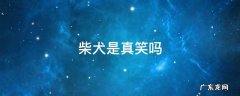 柴犬是真的在笑吗 柴犬是真笑吗