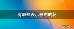 表达歉意的花有哪些 有哪些表示歉意的花