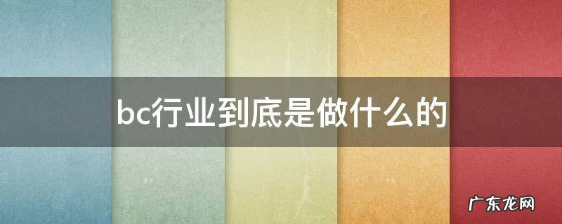 BC行业是什么 bc行业到底是做什么的