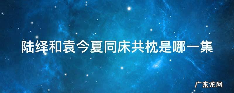 陆绎和袁今夏洞房哪一集 陆绎和袁今夏同床共枕是哪一集
