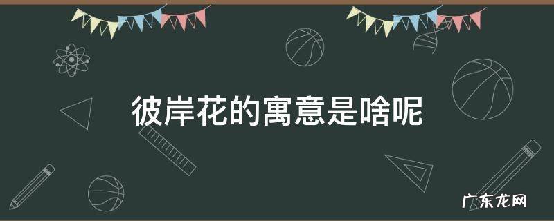 彼岸花的寓意是啥呢 彼岸花的寓意?