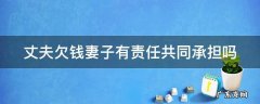 丈夫欠钱妻子有责任共同承担吗 丈夫欠钱妻子有责任共同承担吗怎么办