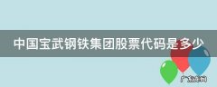 中国宝武钢铁集团股票代码是多少 中国宝武钢铁集团股票代码是多少号