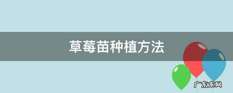 草莓苗种植方法 草莓苗种植方法 盆栽