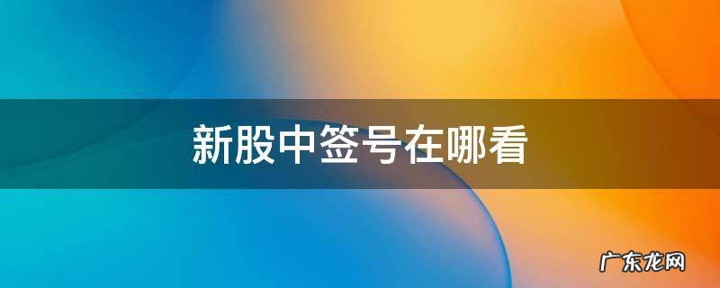 怎么看新股中签号 新股中签号在哪看
