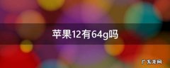 苹果12有64g吗