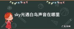 sky光遇白鸟声音在哪里 sky光遇有白鸟吗