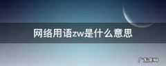 zzwl网络用语什么意思 网络用语zw是什么意思