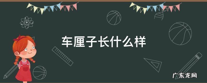 车厘子长什么样子图片 车厘子长什么样