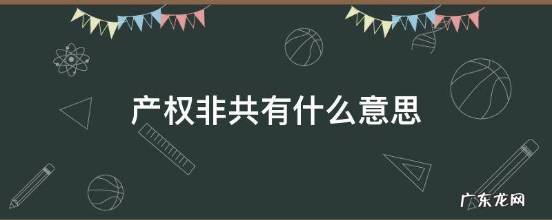 产权共有与非共有什么区别 产权非共有什么意思