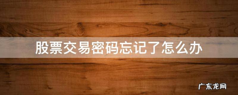股票交易登录密码忘记了怎么办 股票交易密码忘记了怎么办