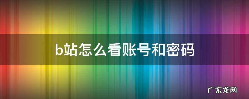 b站怎么看账号和密码 b站怎么看自己账号密码