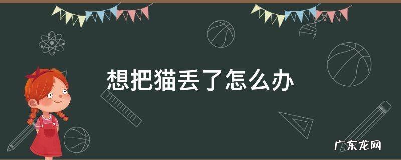 如果自己的猫丢了怎么办 想把猫丢了怎么办