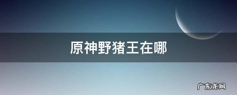 原神野猪王在哪里刷 原神野猪王在哪