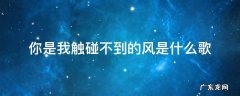 你是我触碰不到的风是什么歌 你是我触碰不到的风是什么歌作文
