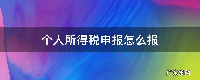 个人所得税申报怎么报 个人所得税申报个人所得如何申报