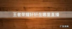 王者荣耀轩轩在哪里直播 王者荣耀轩轩直播间