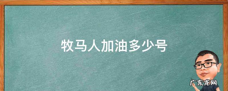 牧马人加几号油 牧马人加油多少号