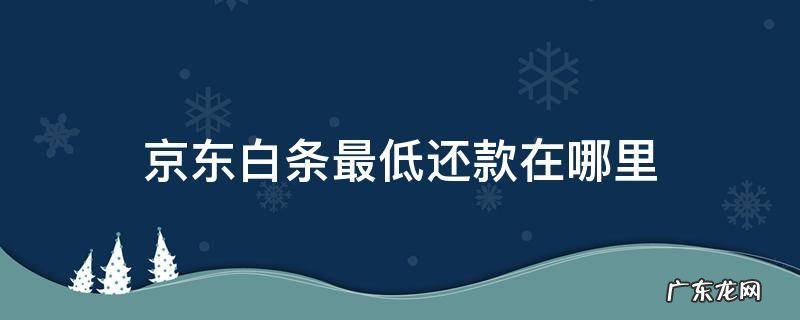 京东白条最低还款在哪里设置 京东白条最低还款在哪里