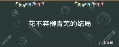 花不弃柳青芜的结局 柳青芜最后和陈煜在一起了吗