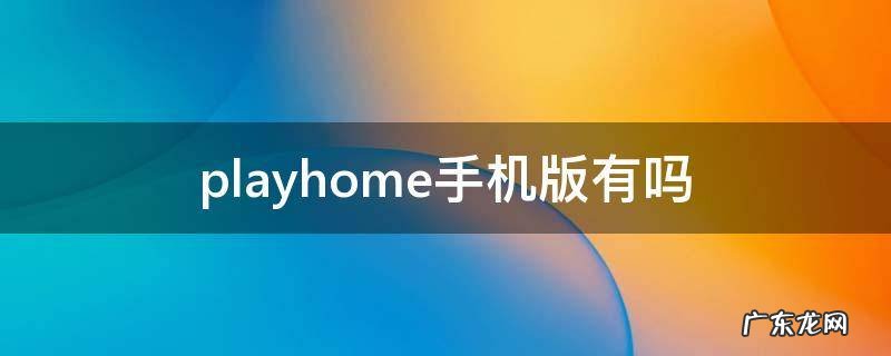 playhome手机版安卓版下载 playhome手机版有吗