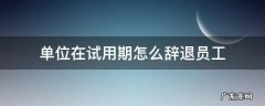 单位在试用期怎么辞退员工 试用期结束用人单位可以辞退员工吗