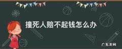 撞了人赔不起钱怎么办 撞死人赔不起钱怎么办