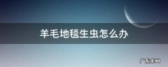 羊毛地毯生虫怎么办 羊毛毯子生虫怎么处理