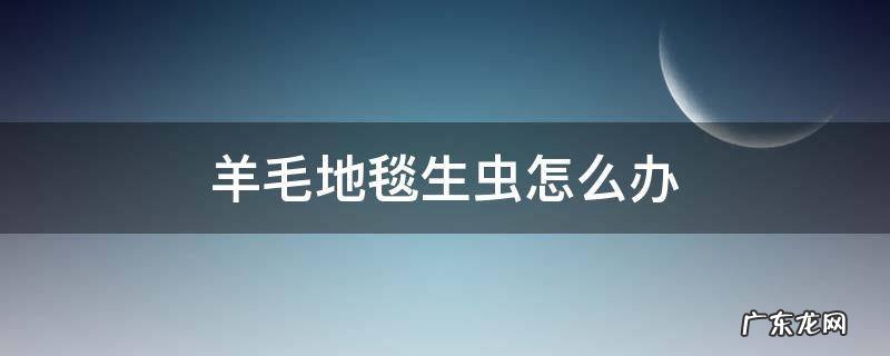 羊毛地毯生虫怎么办 羊毛毯子生虫怎么处理